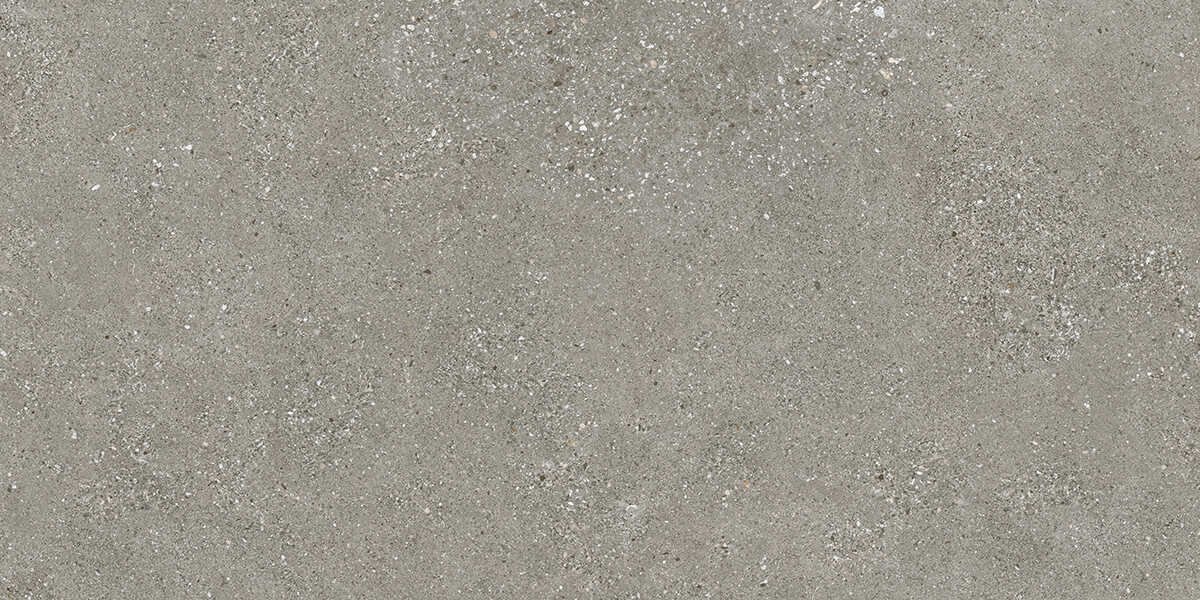 C12696