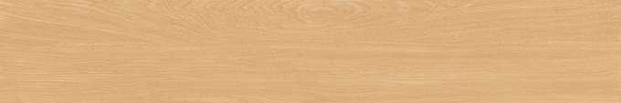 SL2012031