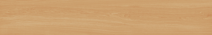 12BS09